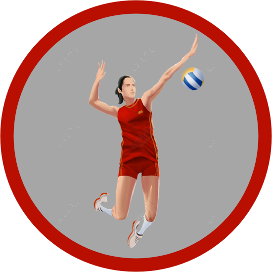 Volleyball